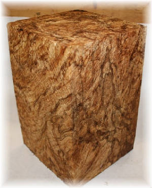 Spalted Maple Root Burl - Click to View Larger