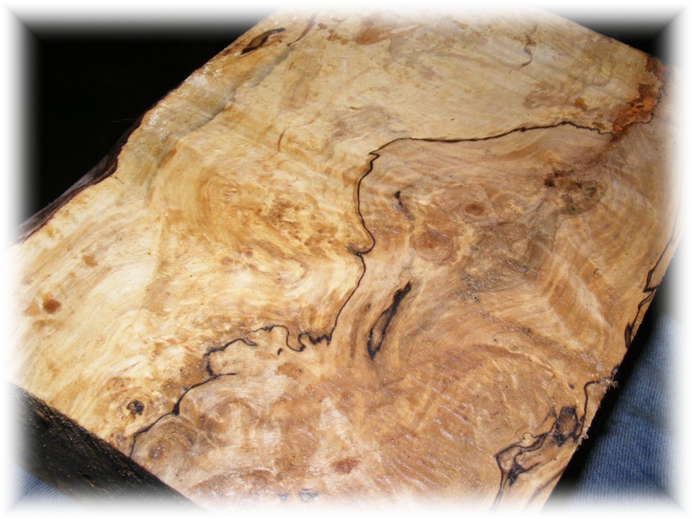 Spalted Curly Maple - Click for Larger View